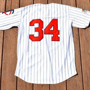 White Pinstripe Baseball Jersey with Red Number 34